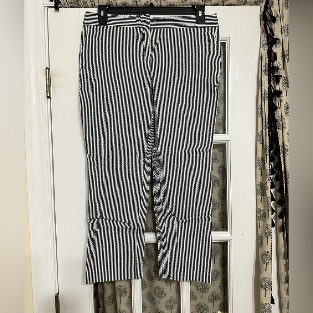 Women’s Ann Taylor Devin Fit pants size 10 dark blue and white stripe EUC